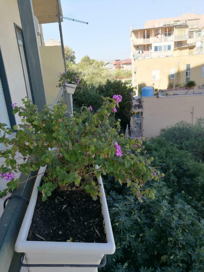 شقة A Casa Di Ida أغريجنتو المظهر الخارجي الصورة